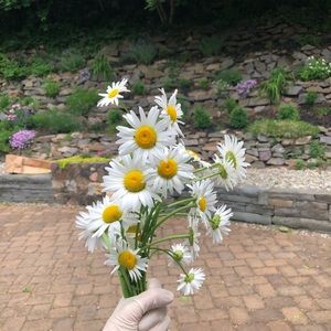 Meet your Posher, Sun